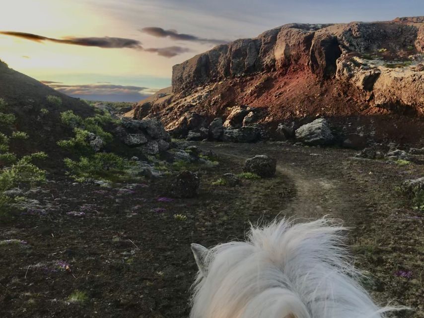 Reykjavik: Small-Group Horse Volcano Riding Tour with Pickup - Riding the hills above Reykjavik