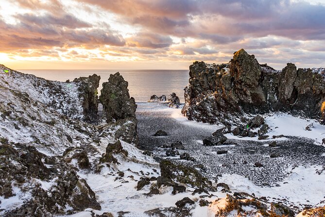 Reykjavík: Snæfellsnes & Kirkjufell Small Group Tour - Transport, food, and the real value of $146.37