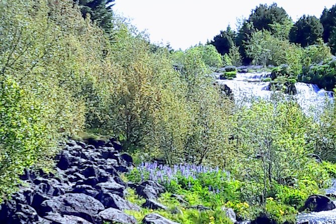 Reykjavik the Northernmost capital in the world - Forty minutes to get your Reykjavik bearings