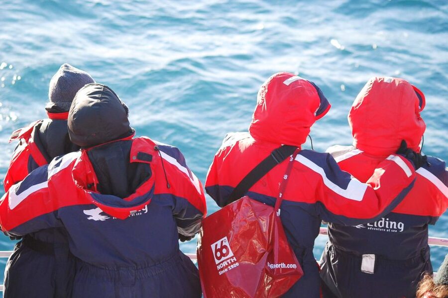 Reykjavik: the Original 3-Hour Whale Watching Tour - Why the environmental policy matters