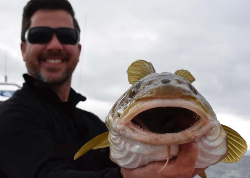 Reykjavik: Traditional Sea Fishing with BBQ Feast - Out on the Bay: Fishing, Views, and Weather