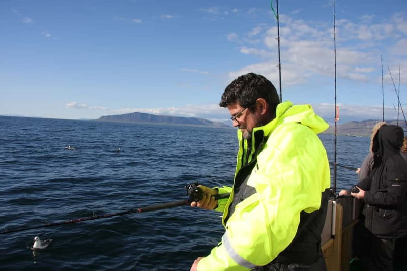 Reykjavik: Traditional Sea Fishing with BBQ Feast - Turning the Catch Into Lunch