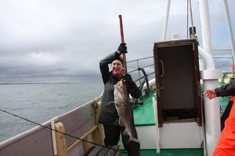 Reykjavik: Traditional Sea Fishing with BBQ Feast - The Crew and the Feel of the Experience