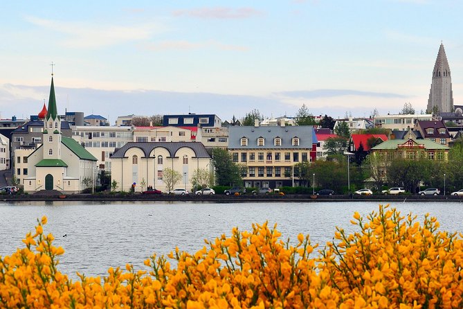 Reykjavik Walking Tour - Walk with a Viking - Alþingi and the story of Icelandic democracy