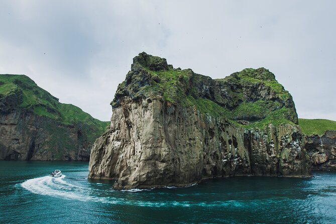 Reykjavik - Westman Islands (Bus transfer to Landeyjahöfn) - Why this transfer matters for a Westman Islands day