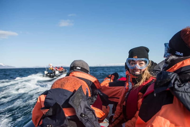 Reykjavik: Whale and Puffin Watching RIB Boat Tour - Puffin islands from April through August