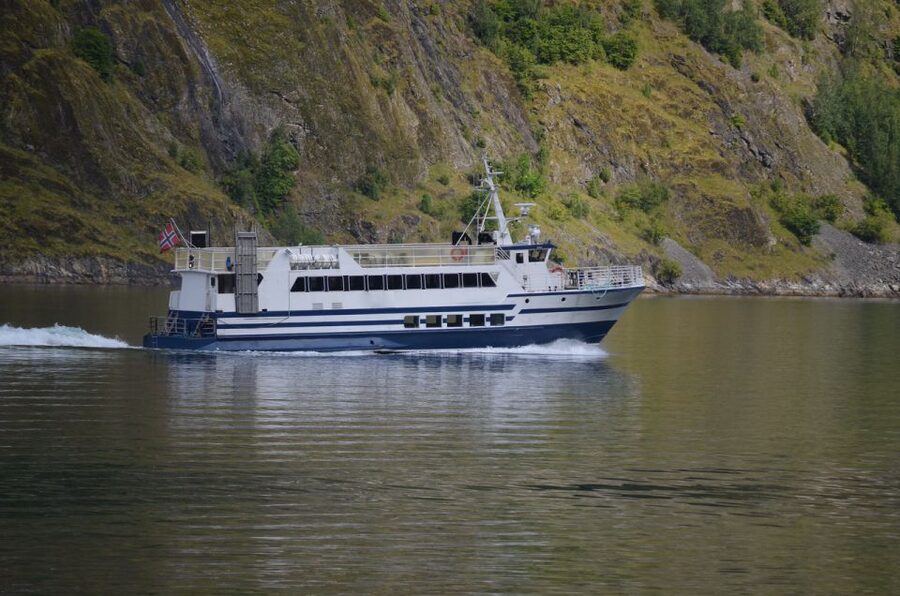 Reykjavik: Whale & Marine Adventure Tour - What $104 Buys You