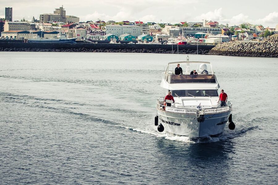 Reykjavik: Whale Watching and Dolphin Watching Yacht Cruise - Key points to know before you sail