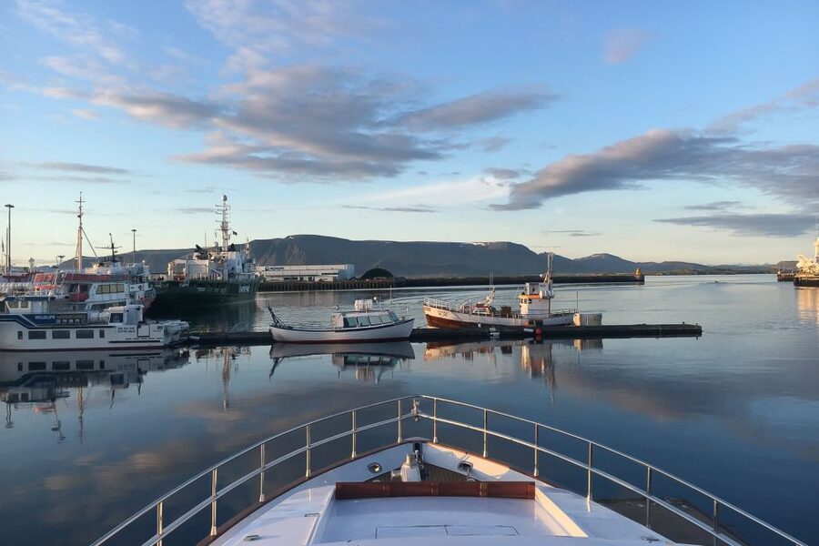 Reykjavik: Whale Watching and Dolphin Watching Yacht Cruise - Setting out from Reykjavik’s Old Harbor
