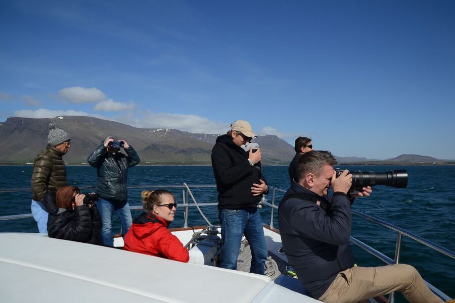 Reykjavik: Whale Watching and Dolphin Watching Yacht Cruise - Choosing between the deck and the warm cabin