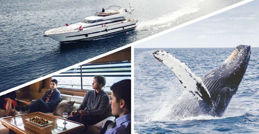 Reykjavik: Whale Watching and Dolphin Watching Yacht Cruise - The first stretch across Faxafloi Bay
