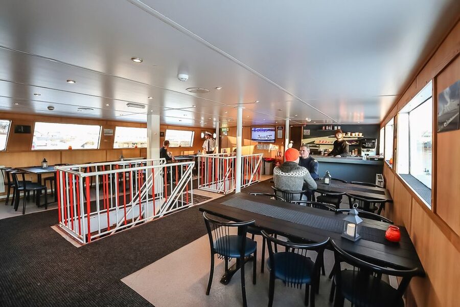 Reykjavík: Whale Watching and Marine Life Cruise - Who should book this Reykjavík cruise?