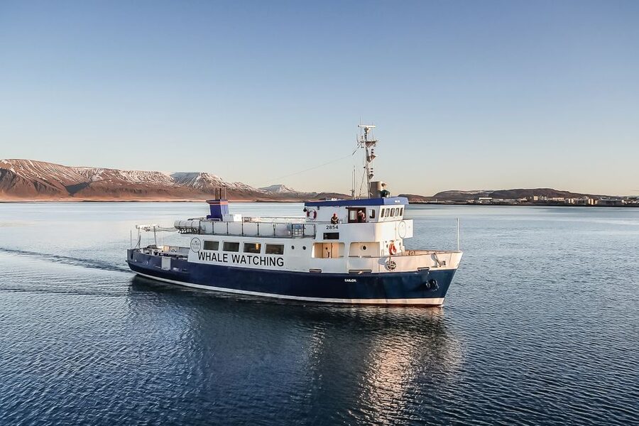 Reykjavík: Whale Watching and Marine Life Cruise - Leaving Reykjavík’s Old Harbour for Faxaflói Bay