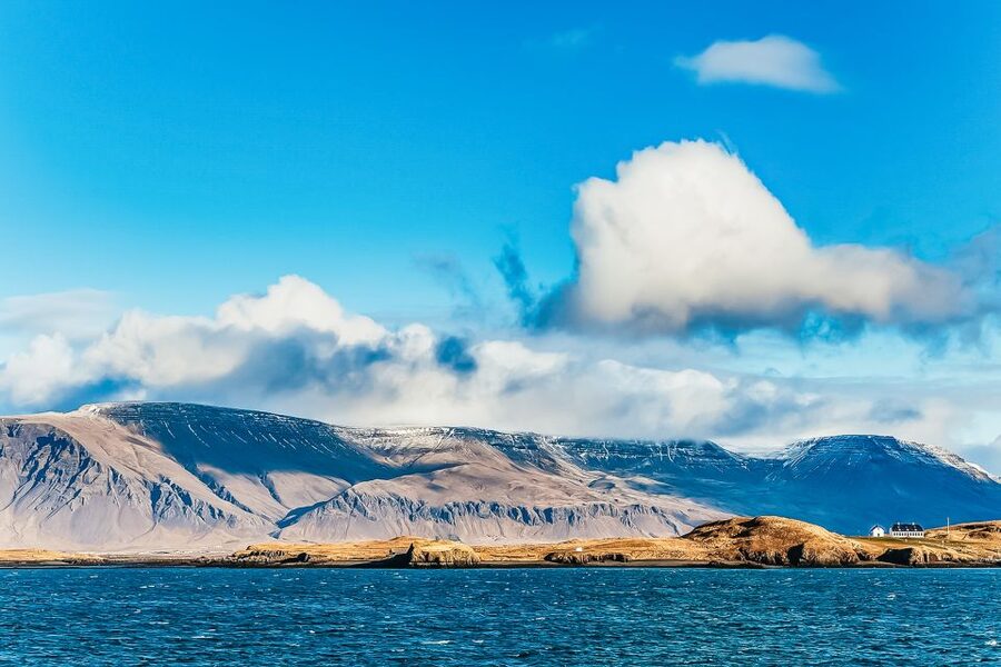 Reykjavík: Whale Watching and Marine Life Cruise - Humpback whales, dolphins, porpoises, and seals