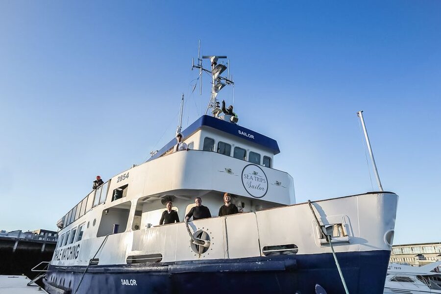 Reykjavík: Whale Watching and Marine Life Cruise - Coastal views when the animals stay hidden