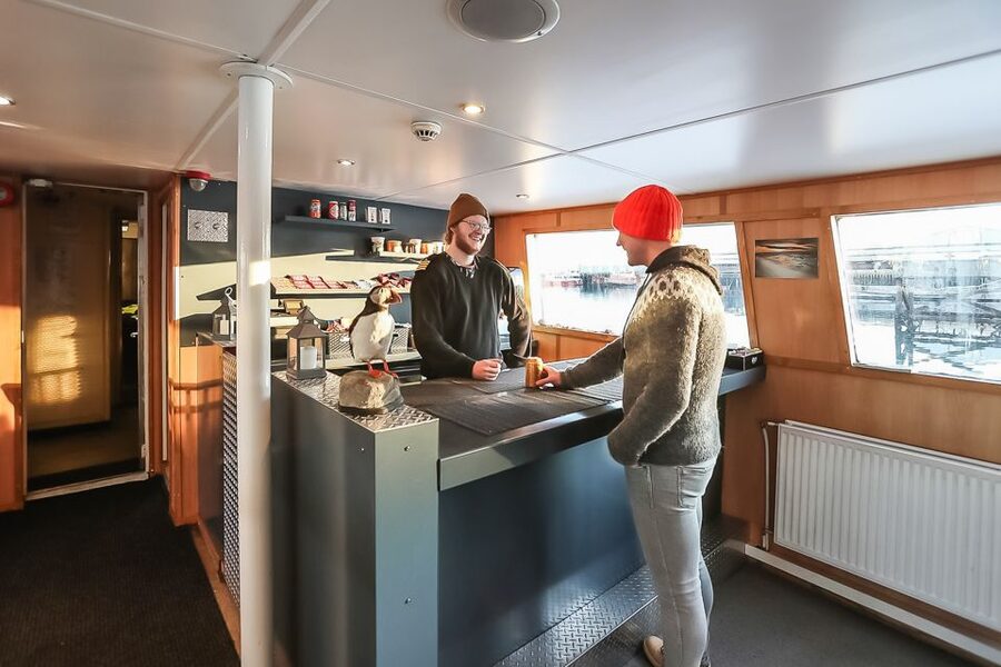 Reykjavík: Whale Watching and Marine Life Cruise - Timing your cruise in an Iceland itinerary