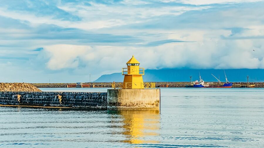 Reykjavík: Whale Watching and Marine Life Cruise - The guides make the difference