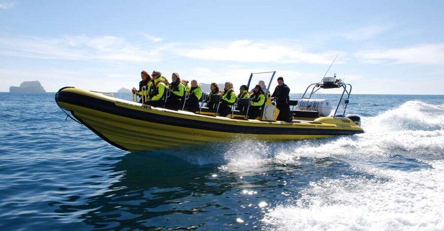 Reykjavik: Whale Watching by RIB Speedboat - Leaving Reykjavík’s Old Harbor by RIB