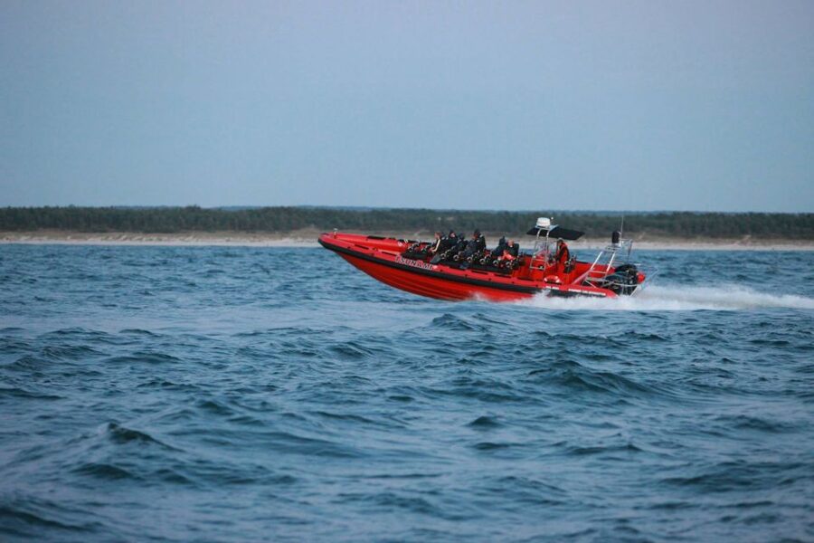 Reykjavik: Whale Watching by RIB Speedboat - The guides and the quality of the outing