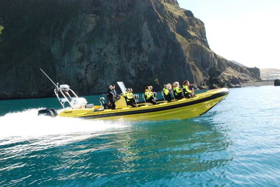 Reykjavik: Whale Watching by RIB Speedboat - Two hours, with useful limits