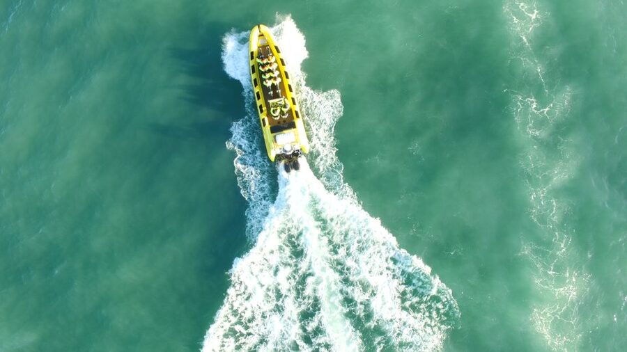 Reykjavik: Whale Watching by RIB Speedboat - Who should choose this RIB trip?