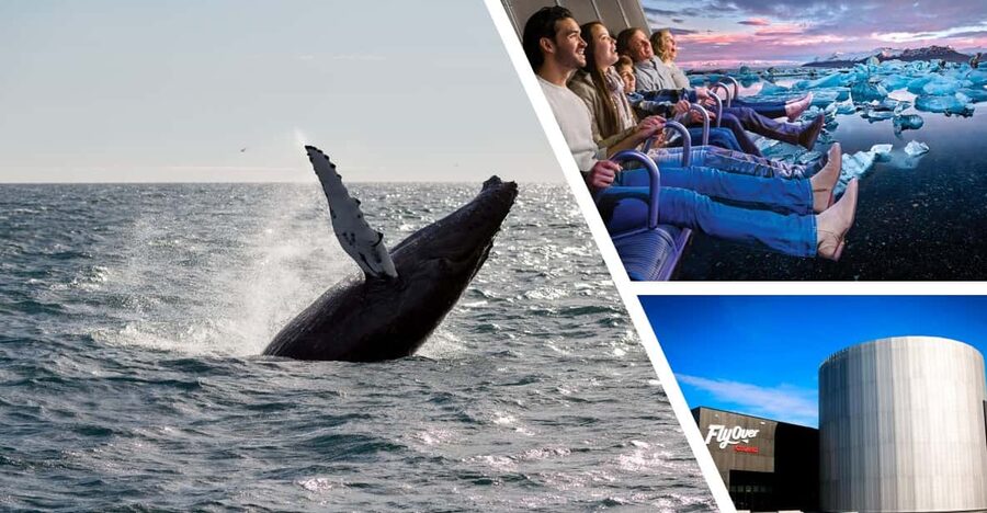 Reykjavík: Whale Watching Cruise and FlyOver Combo Ticket - Who should book this combination