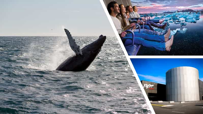 Reykjavík: Whale Watching Cruise and FlyOver Combo Ticket - Meeting the boat near Reykjavík’s harbor
