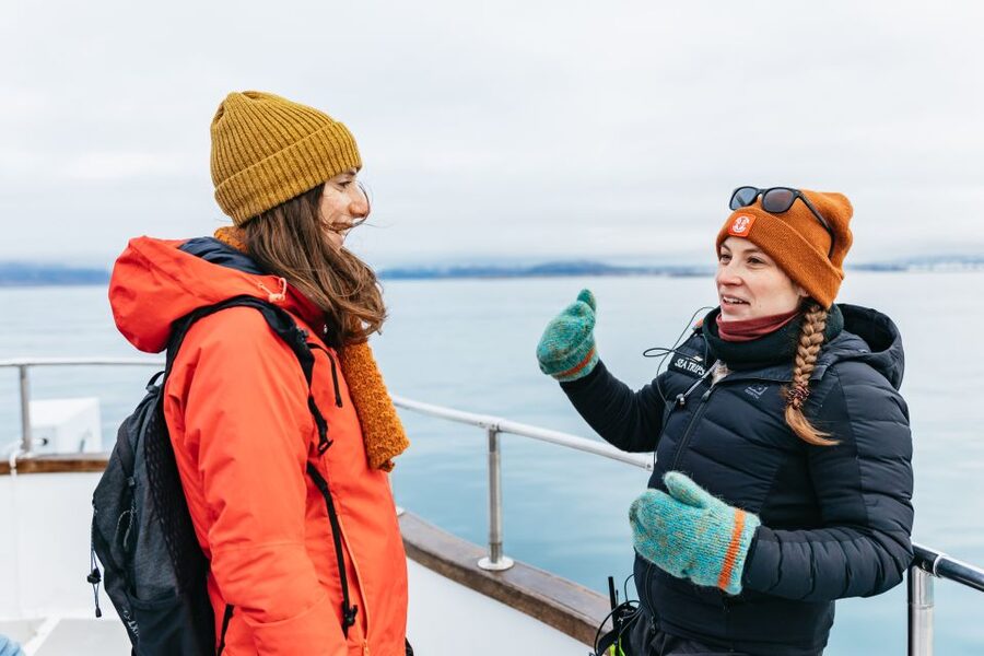 Reykjavík: Whale Watching Cruise on the Amelia Rose Yacht - Searching Faxaflói Bay for whales