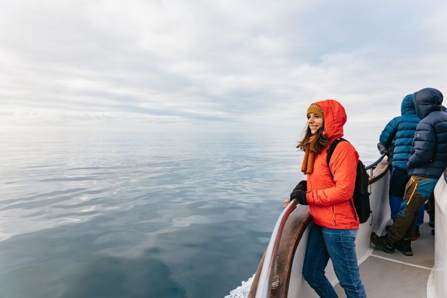 Reykjavík: Whale Watching Cruise on the Amelia Rose Yacht - Who should book the Amelia Rose?