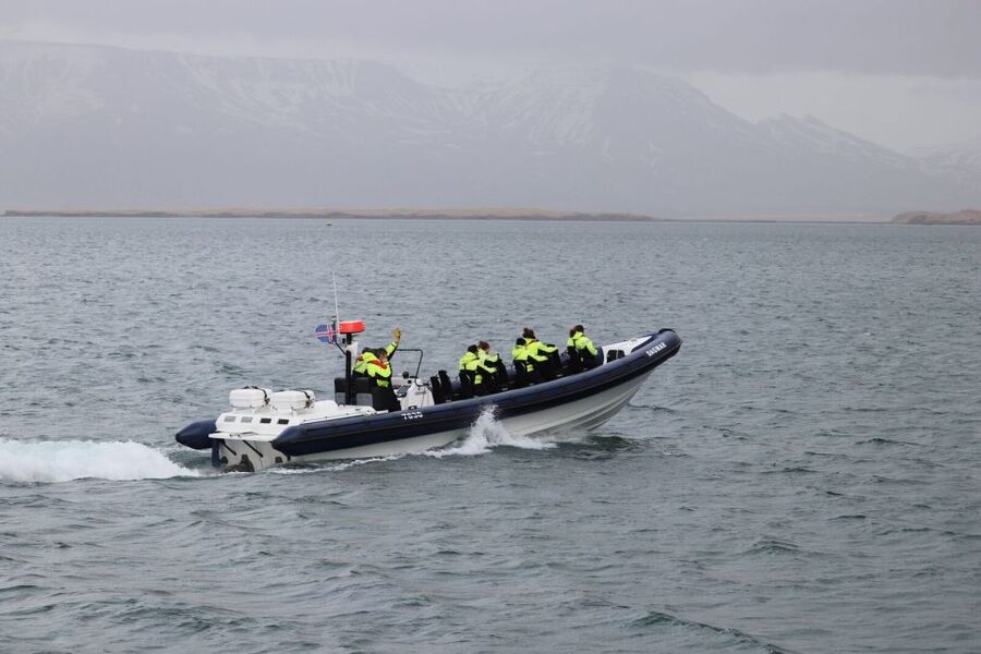 Reykjavik: Whale Watching Tour by RIB Boat - What the $194 price includes