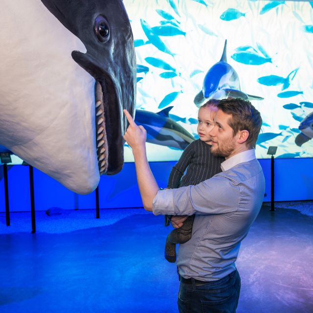 Reykjavik: Whale Watching Tour, Whales of Iceland Exhibition - Key points to know before you book