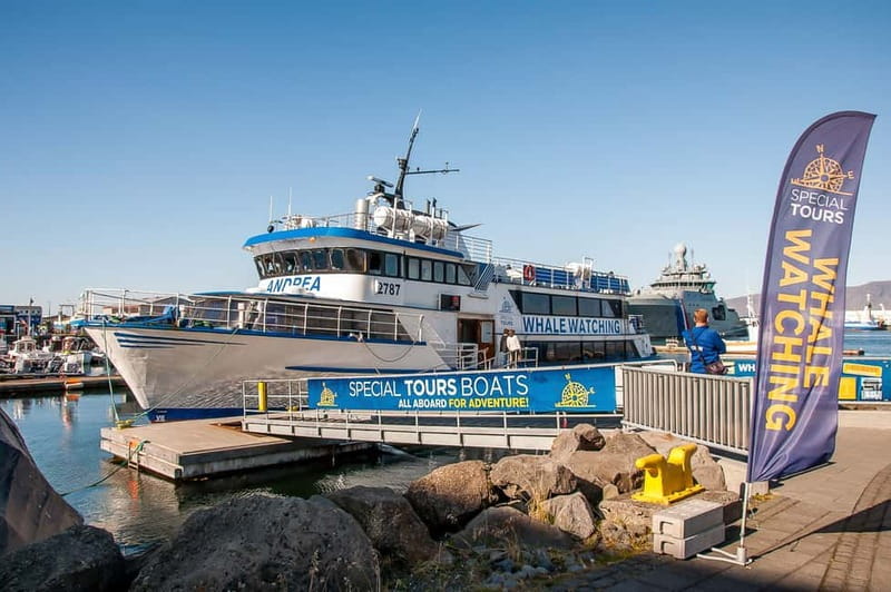 Reykjavik: Whale Watching Tour with Expert Guide - Andrea’s space, warmth, and viewing decks