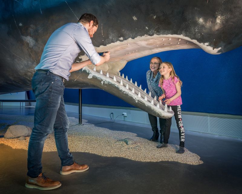 Reykjavik: Whales of Iceland Museum Entrance Ticket - A useful alternative after whale watching