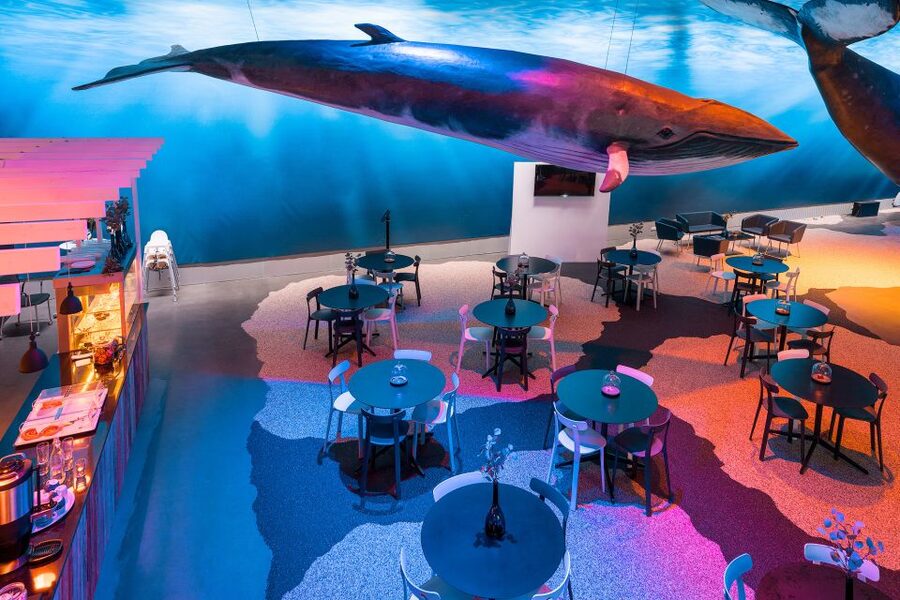 Reykjavik: Whales of Iceland Museum Entrance Ticket - How long to allow and what to do afterward