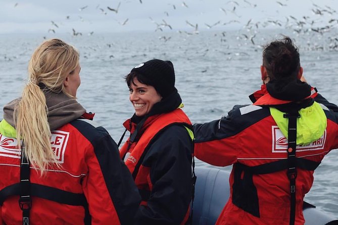 RIB Whale Watching Small-Group Boat Tour from Reykjavik - Akurey and the puffin islands from May through August