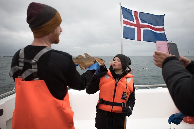 Sea Fishing Experience from Reykjavik - Puffins, dolphins, whales, and the view