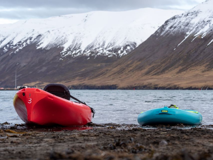 Siglufjörður / Siglufjordur: Guided kayak tour. - A Short Lesson Before You Head Out