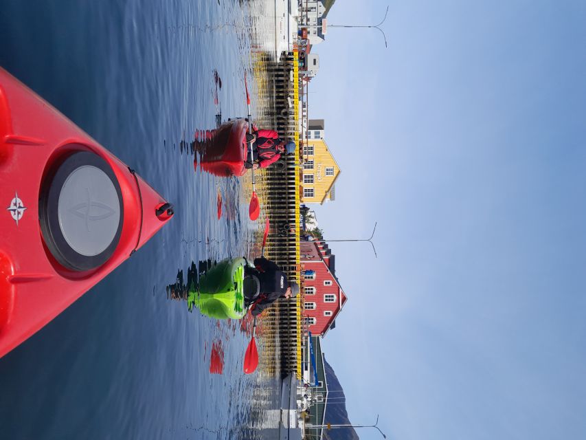 Siglufjörður / Siglufjordur: Guided kayak tour. - Who Should Book This Tour?