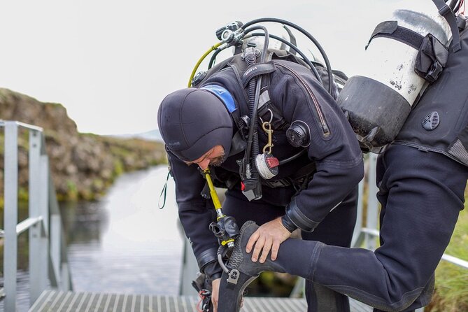 Silfra: Diving Between Tectonic Plates and Pick Up from Reykjavik - Why the small group matters