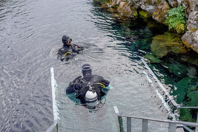 Silfra: Diving Between Tectonic Plates and Pick Up from Reykjavik - Is $325 a fair price?