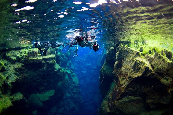 Silfra Fissure Snorkeling From Reykjavík - Free Underwater Photos - From Reykjavík to Thingvellir National Park