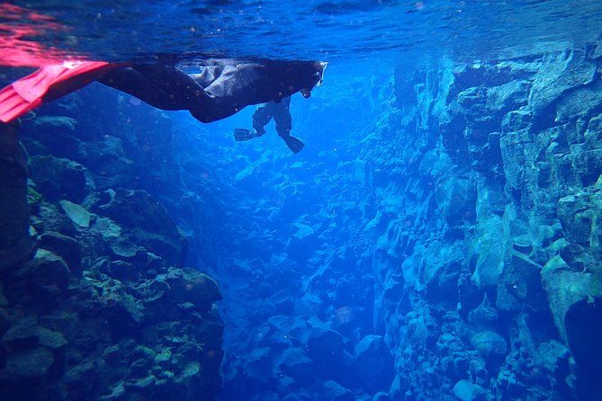 Silfra Fissure Snorkeling From Reykjavík - Free Underwater Photos - What you see during the 20 to 30 minute snorkel