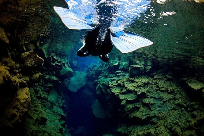 Silfra Fissure Snorkeling From Reykjavík - Free Underwater Photos - The guides make or break the experience