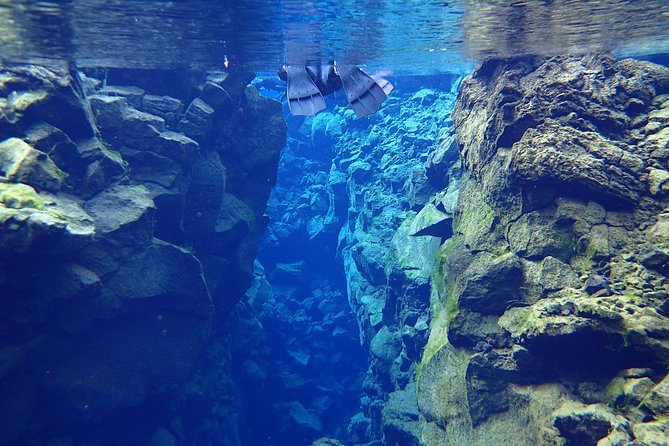 Silfra Fissure Snorkeling From Reykjavík - Free Underwater Photos - Who should book this Silfra experience?