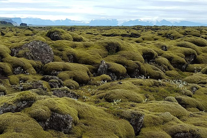 Small Group Day Tour to Lakagigar volcano by Super Jeep from Klaustur - What the Super Jeep and small group add