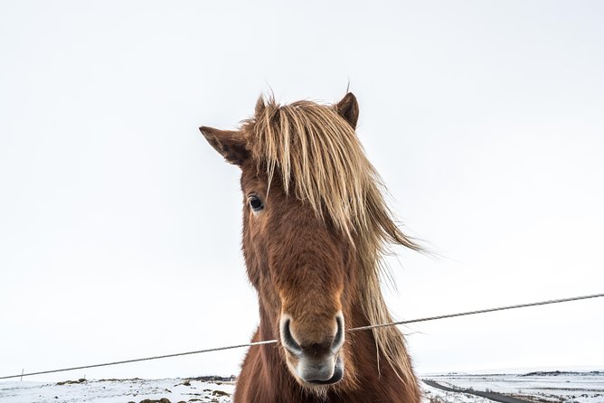 Small-Group Golden Circle Full-Day Tour from Reykjavik - Gullfoss, Iceland’s two-level waterfall