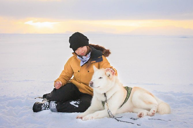 Small Group Husky Sledding Tour from Capital Region - A 35-minute ride through Icelandic scenery