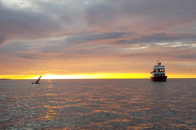 Small-group Whale Watching in the Midnight Sun from Reykjavík - A small boat beneath Reykjavík’s midnight sun