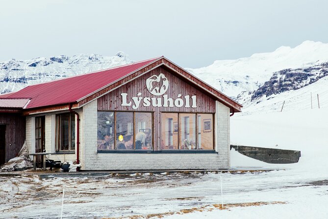 Snæfellsnes in Spanish with lunch on a farm Minibus - Ytri Tunga, where seals meet a golden beach