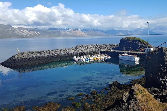 Snaefellsnes Peninsula. Private Day Tour from Reykjavik - Arnarstapi brings you to the coast on foot
